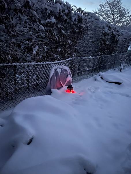 Ein Bild, das drauen, Schnee, Person, Natur enthlt.

Automatisch generierte Beschreibung